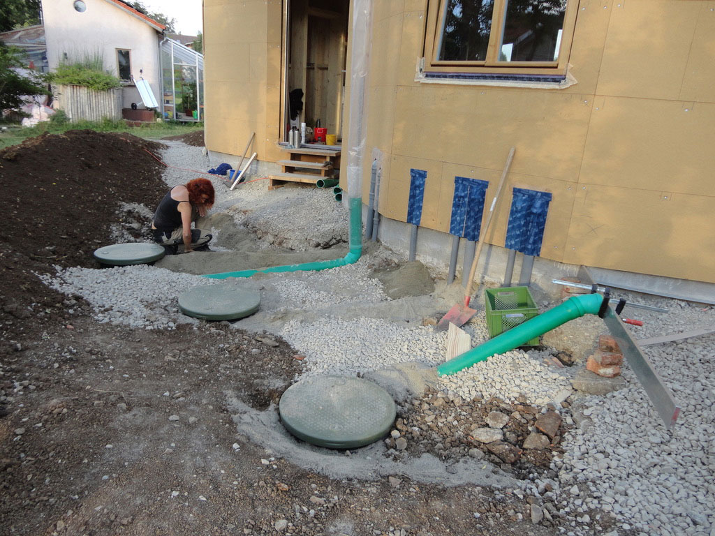 Pflanzen Klaeranlage 01