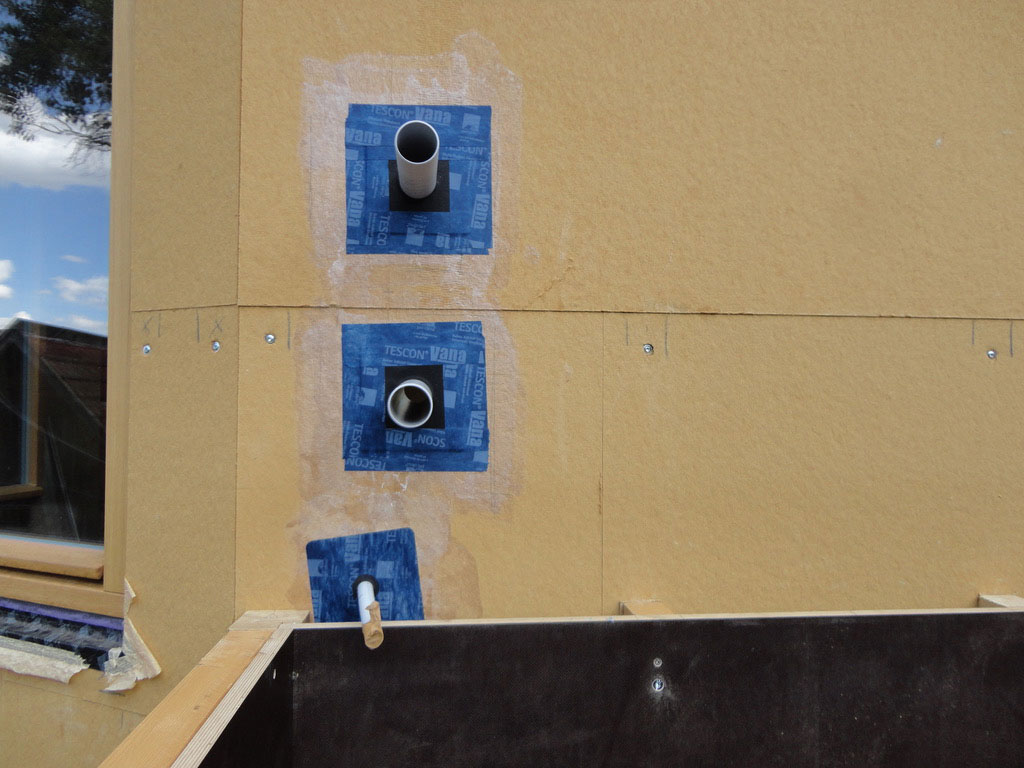 Pflanzen Klaeranlage 04a